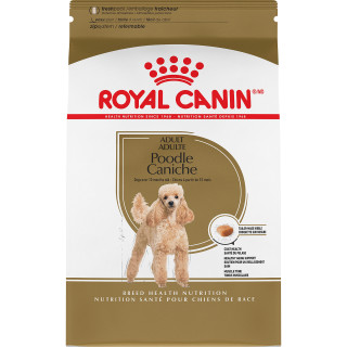 Poodle Adult Dry Dog Food
